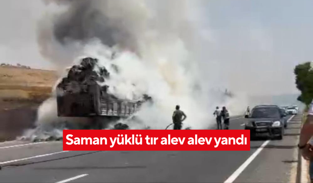 Mardin Mazıdağı’nda saman yüklü tır alev alev yandı