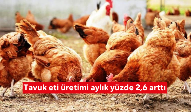 Tavuk eti üretimi aylık yüzde 2,6 arttı