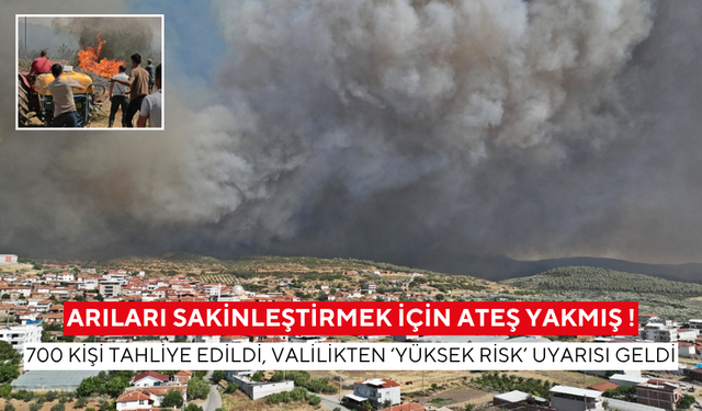Arıları sakinleştirmek için ateş yakmış ! 700 kişi tahliye edildi, valilikten ‘yüksek risk’ uyarısı geldi