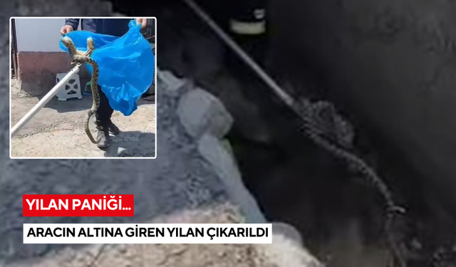 Aracın altına giren yılan çıkarıldı
