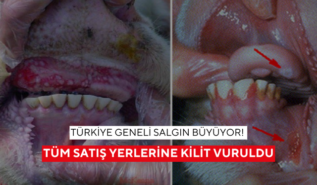 Türkiye geneli salgın büyüyor! Tüm hayvan satış yerlerine kilit vuruldu