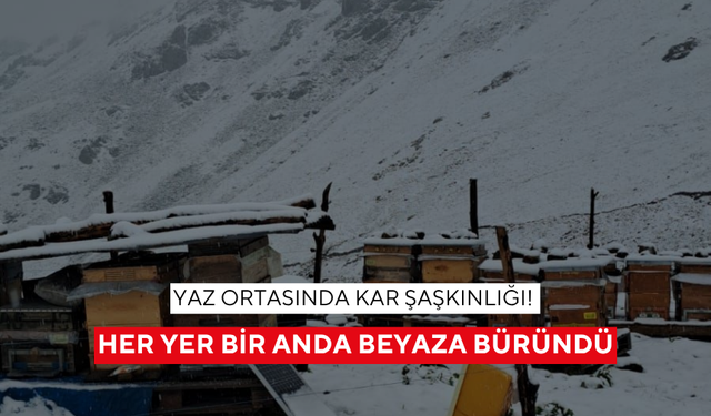 Yaz ortasında kar şaşkınlığı! Her yer bir anda beyaza büründü