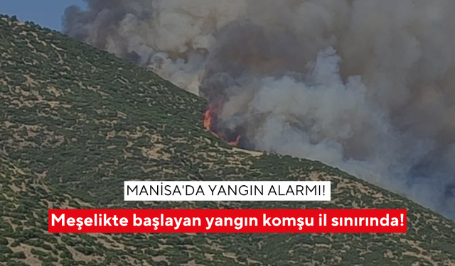 Manisa'da yangın alarmı! Meşelikte başlayan yangın komşu il sınırında!