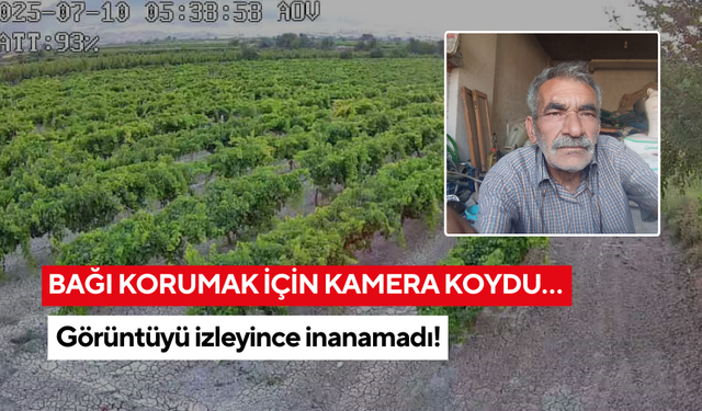 Bağı korumak için kamera taktırdı… Sabah manzarayı görünce şok oldu: 'Emeğimiz boşa gidiyor'