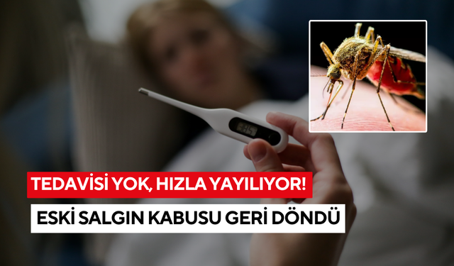 Adı bile unutulmuştu... Şimdi 5,6 milyar kişi tehdit altında, çaresi yok!