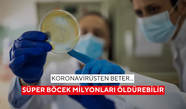 Dünya yeni pandemiyle karşı karşıya! Süper böcekler milyonları öldürebilir