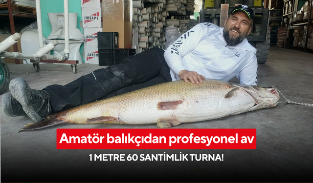Amatör balıkçıdan profesyonel av: 1 metre 60 santimlik turna!