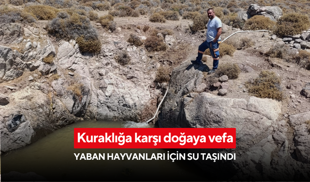 Kuraklığa karşı doğaya vefa: Yaban hayvanları için su taşındı