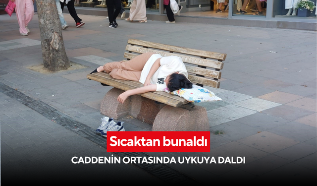 Sıcaktan bunaldı, caddenin ortasında uykuya daldı