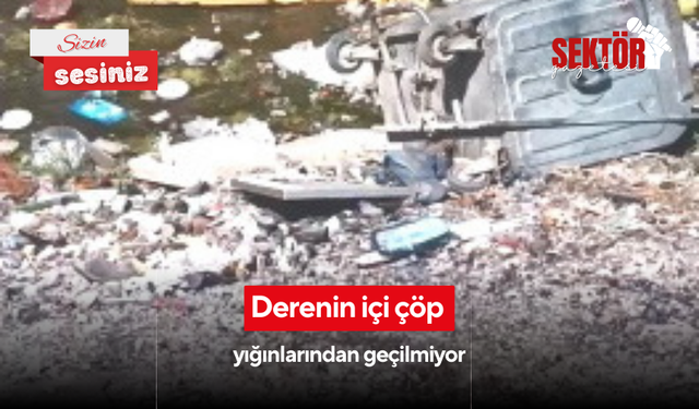 Derenin içi çöp yığınlarından geçilmiyor