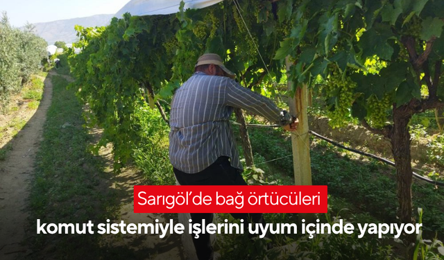Sarıgöl’de bağ örtücüleri komut sistemiyle işlerini uyum içinde yapıyor