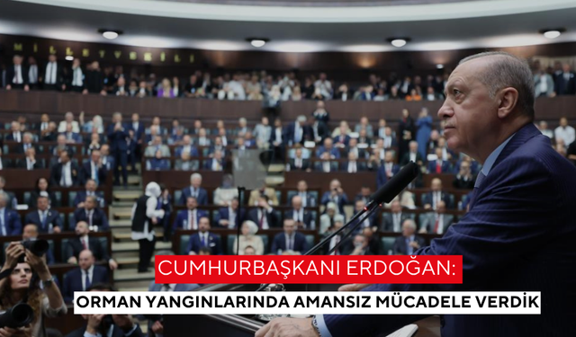 Cumhurbaşkanı Erdoğan: Orman yangınlarında amansız mücadele verdik