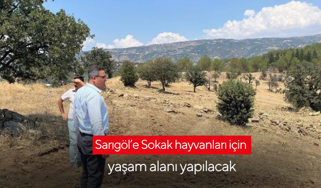 Sarıgöl’e Sokak hayvanları için yaşam alanı yapılacak