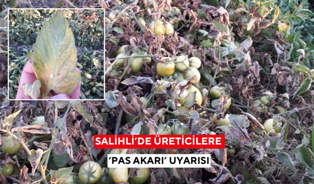 Salihli’de üreticilere ‘pas akarı’ uyarısı