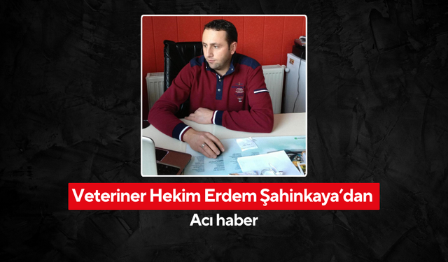 Kontrolden çıkan araç duvara çarptı | Veteriner Hekim Erdem Şahinkaya’dan acı haber