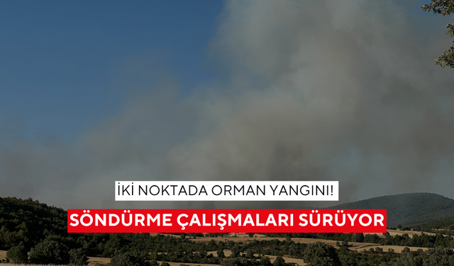 Bölge alarmda! Manisa'da yangınlar kırsalı tehdit ediyor!