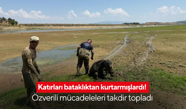 Katırları bataklıktan kurtarmışlardı! Özverili mücadeleleri takdir topladı