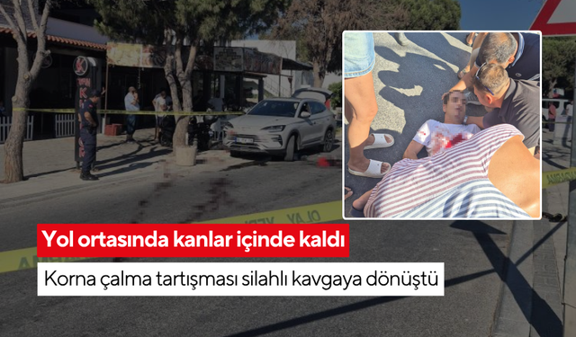 Park Yeri ve korna çalma meselesi kanlı hesaplaşmaya dönüştü...