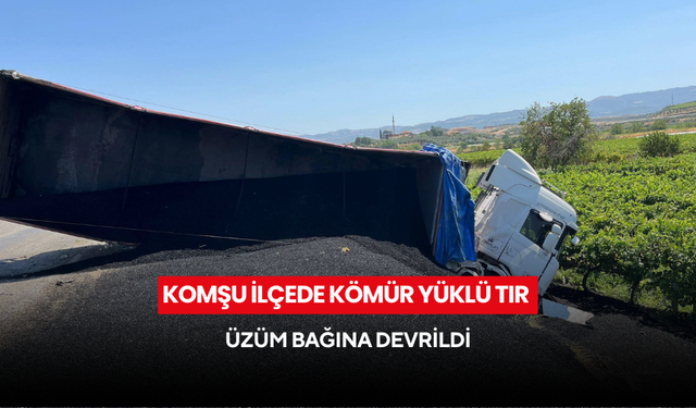 Komşu ilçede kömür yüklü tır, üzüm bağına devrildi