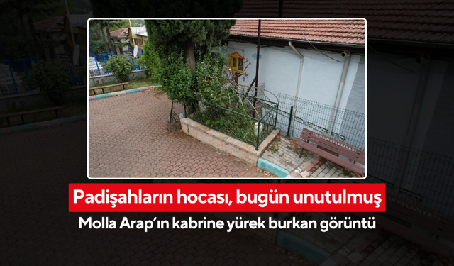 Osmanlı’nın büyük alimi Molla Arap’ın kabrine hüzünlü bakış... Yalnızlığa terk edildi