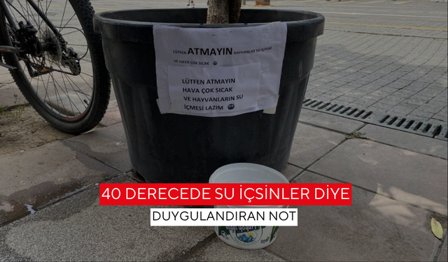 40 derecede bir damla umut! Sokak hayvanları için kibar mesaj... 'Lütfen Atmayın!'