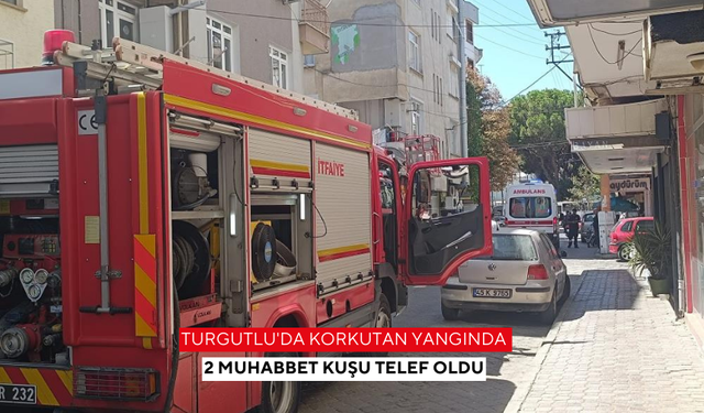 Turgutlu'da Korkutan yangında 2 muhabbet kuşu telef oldu