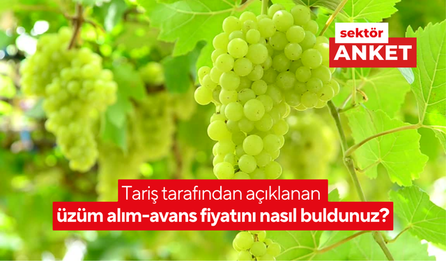 Tariş tarafından açıklanan üzüm alım-avans fiyatını nasıl buldunuz?