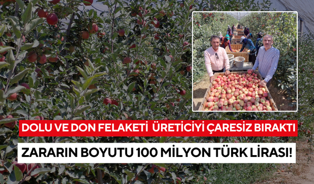 Bir gecede yaşanan felaket, üreticiyi çaresiz bıraktı