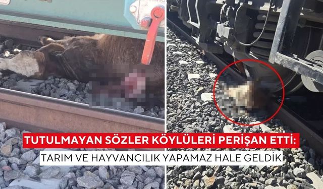 Köylüler öfkeli: Verilen sözler tutulmadı, hayvanlarımızı kaybettik