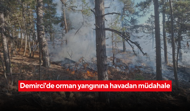 Demirci’de orman yangını! Havadan ve karadan müdahale ile kontrol altında