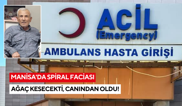 Manisa’da korkunç kaza! Ağaç kesecekti, canından oldu!