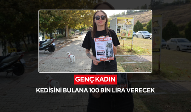 3 gündür uyuyamıyor! Kayıp kedisini bulana 100 bin lira verecek...