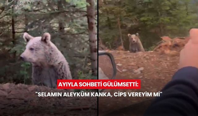 Ayıyla sohbeti gülümsetti: "Selamın aleyküm kanka, cips vereyim mi"