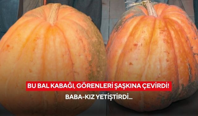 Baba-kız, bölgenin en büyük bal kabağını yetiştirdi