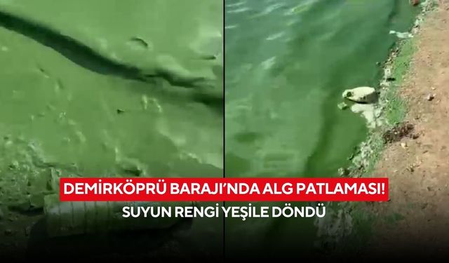 Demirköprü Barajı’nda alg patlaması! Suyun rengi yeşile döndü