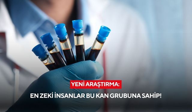 Kan grubunuz zekanızı belirliyor olabilir! En yüksek IQ o grupta çıktı