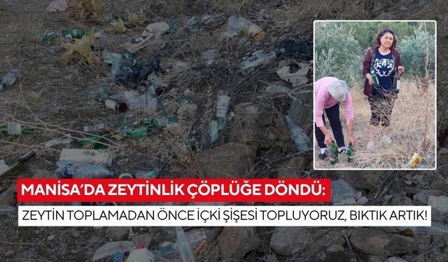 Manisa’da zeytinlik çöplüğe döndü: Zeytin toplamadan önce içki şişesi topluyoruz, bıktık artık!