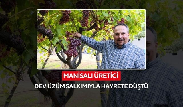 Sarıgöllü üreticiden rekor üzüm! Kalite de, ağırlık da zirvede
