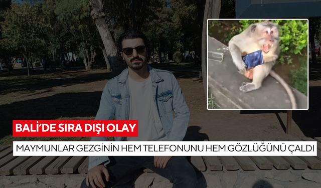 Bali’de sıra dışı olay! Maymunlar gezginin hem telefonunu hem gözlüğünü çaldı