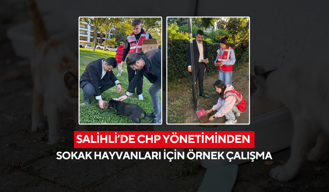 Salihli’de CHP yönetiminden sokak hayvanları için örnek çalışma