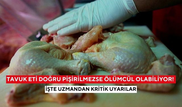 Tavuk eti doğru pişirilmezse ölümcül olabiliyor, uzman uyardı