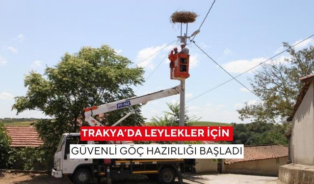Trakya’da leylekler için güvenli göç hazırlığı başladı