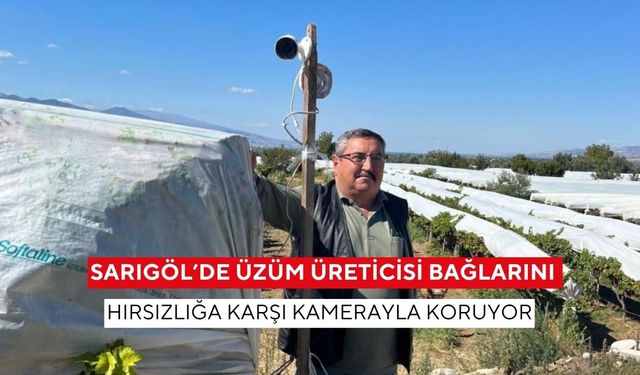 Sarıgöl’de üzüm üreticisi bağlarını hırsızlığa karşı kamerayla koruyor