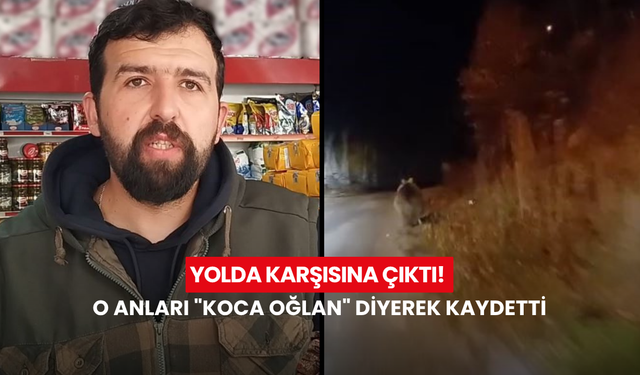 Yolda karşısına çıktı! Vatandaş, o anları "koca oğlan" diyerek kaydetti