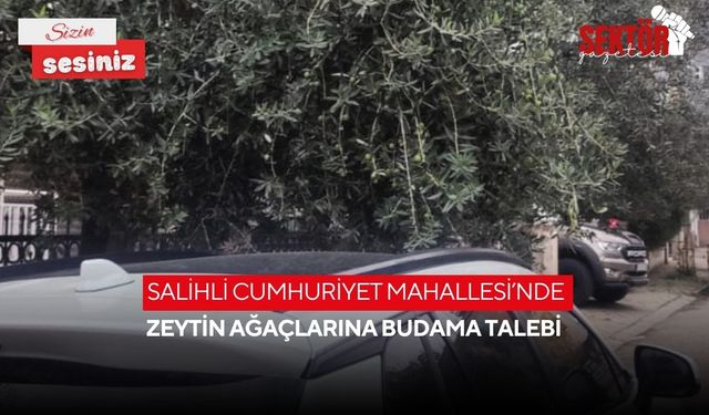 Salihli Cumhuriyet Mahallesi’nde zeytin ağaçlarına budama talebi