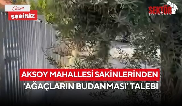 Salihli’nin Aksoy Mahallesi sakinlerinden, ‘Ağaçların budanması’ talebi