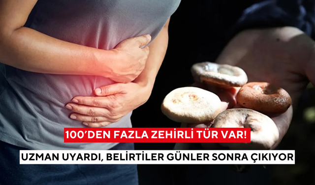 100’den fazla zehirli tür var! Uzman uyardı, belirtiler günler sonra çıkıyor