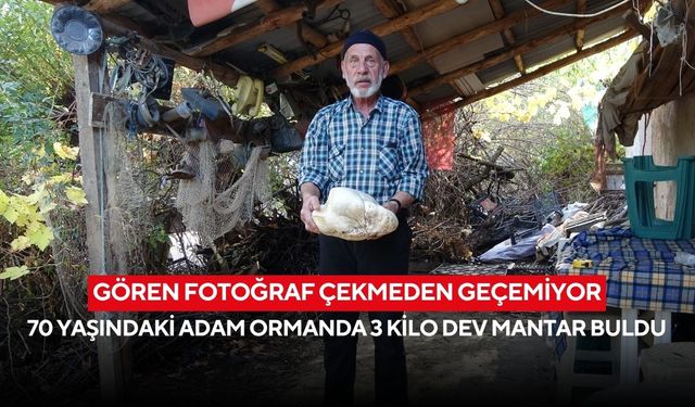 Gören fotoğraf çekmeden geçemiyor: 70 yaşındaki adam ormanda 3 kilo dev mantar buldu