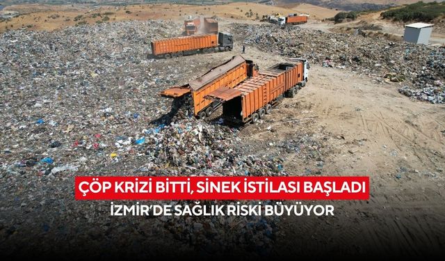 Çöp krizi bitti, sinek istilası başladı: İzmir’de sağlık riski büyüyor