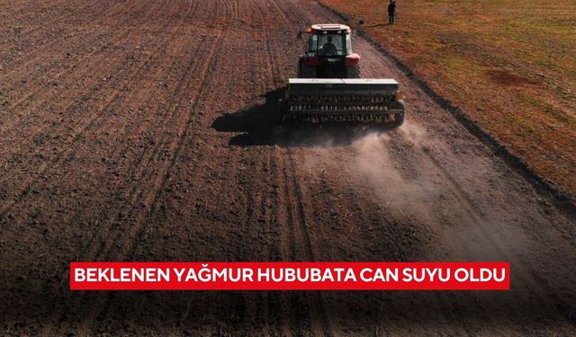 Beklenen yağmur hububata can suyu oldu